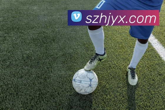 星空入口网页版登录平台生态图