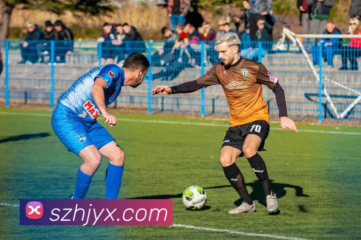 星空入口网页版登录APP 封面图